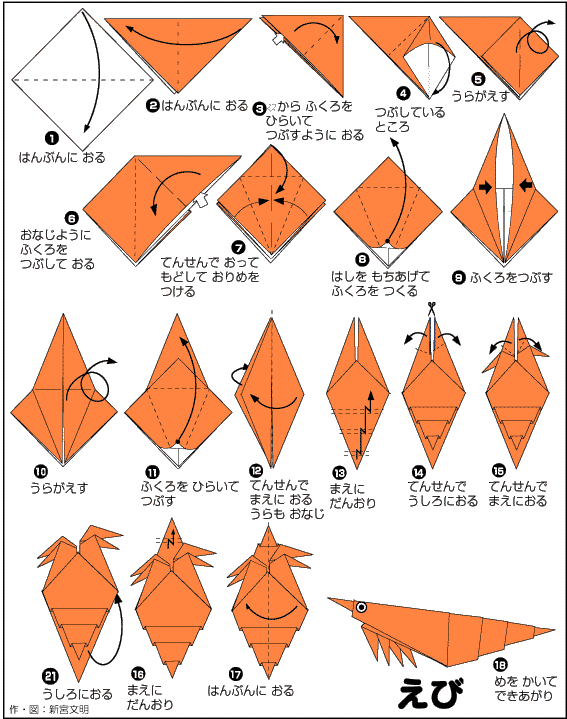 折り図 えび の折り図 おりがみくらぶ